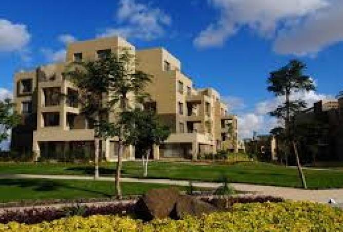 8470439 - Property Image 3