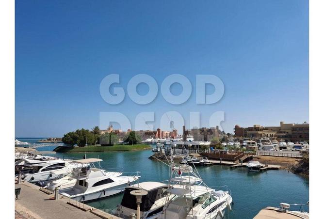 8156821 - Property Image 3