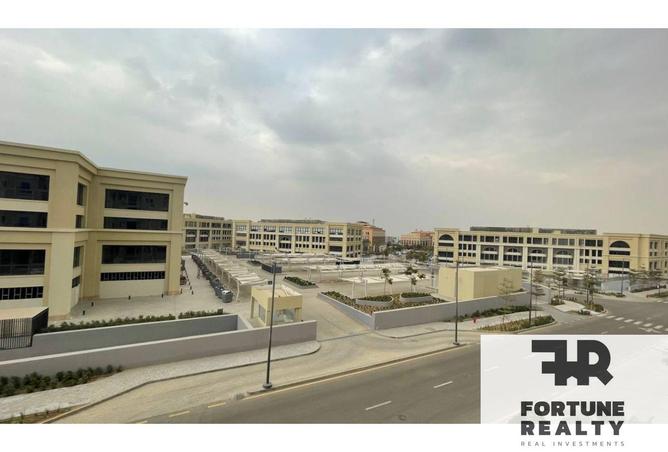 8374715 - Property Image 2