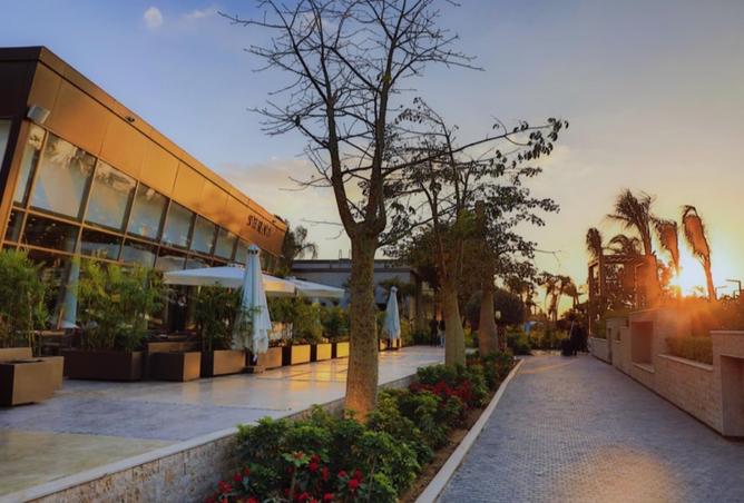 8175559 - صورة العقار 2