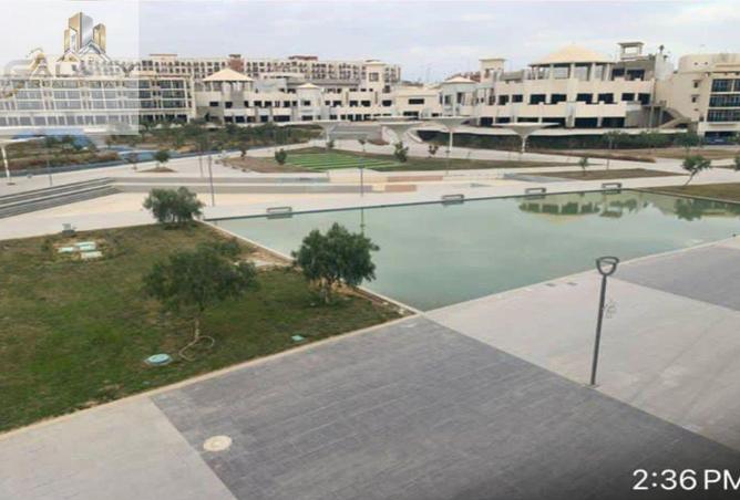 8255759 - صورة العقار 3