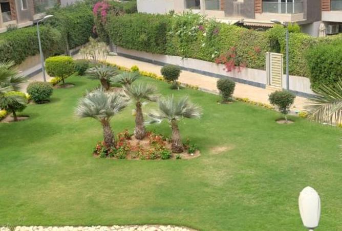 7933597 - الصورة الرئيسية للعقار