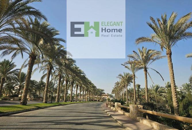 8351196 - Property Image 2