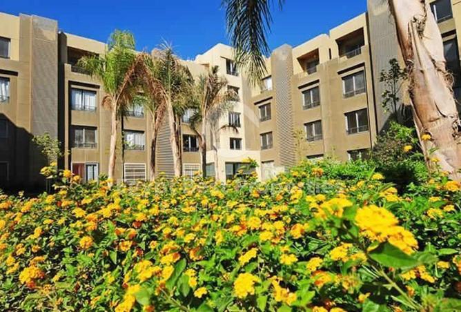 8324831 - صورة العقار 3