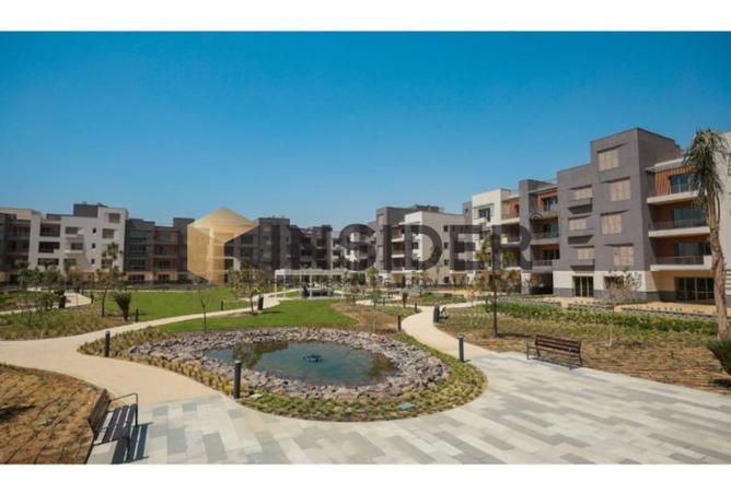 8315827 - Property Image 2