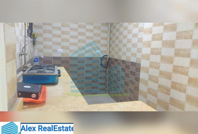 8191831 - Property Image 2