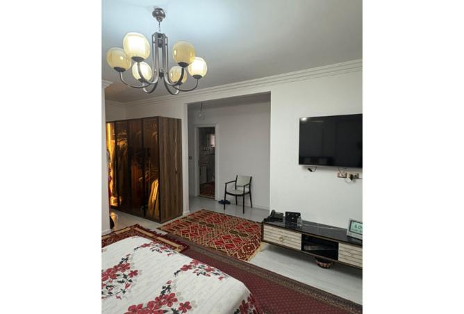 8267242 - Property Image 2