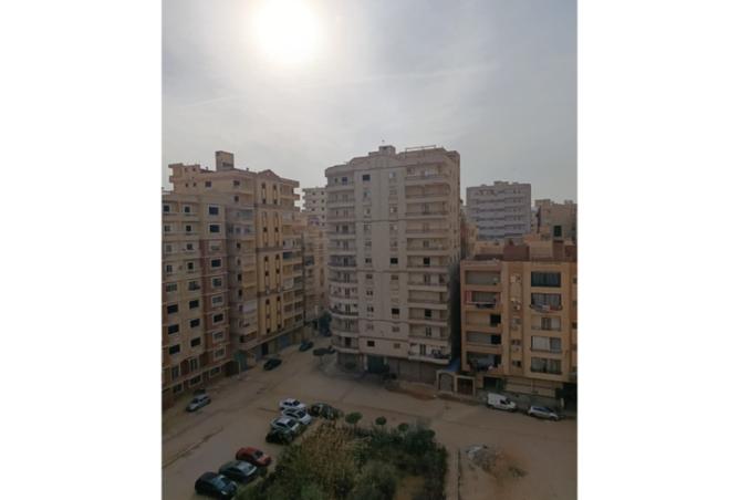 8517443 - صورة العقار 3