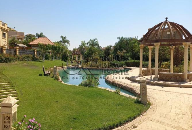 7941967 - صورة العقار 3