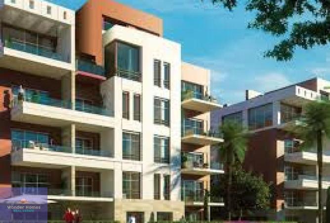 7859354 - Property Image 3