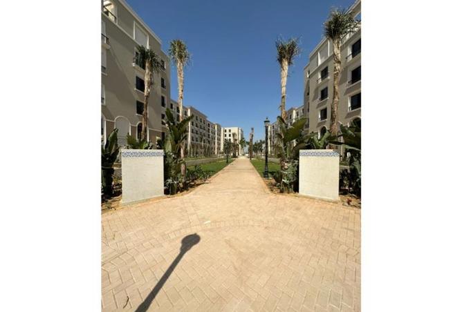 8307017 - Property Image 3