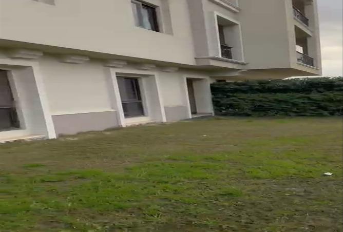 8153269 - Property Image 2
