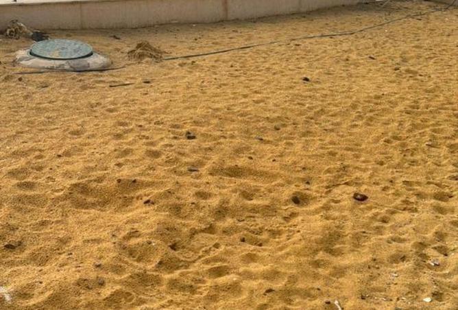 8204812 - صورة العقار 3