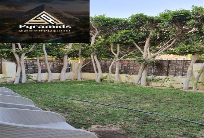 8368670 - Property Image 3