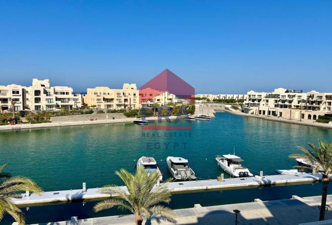 7998062 - صورة العقار 3