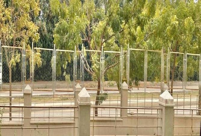 8204206 - صورة العقار 3