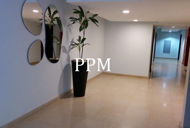 8381389 - Property Image 3