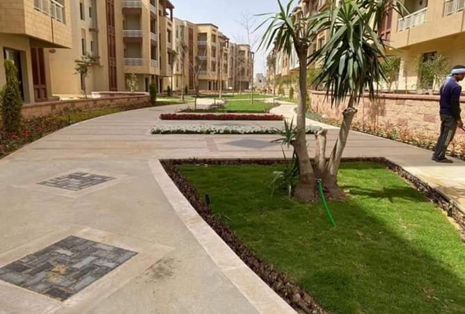 8155698 - صورة العقار 3