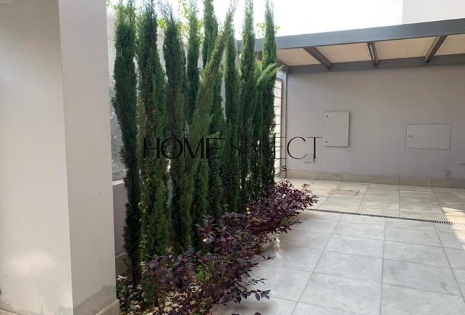 8345322 - Property Image 3