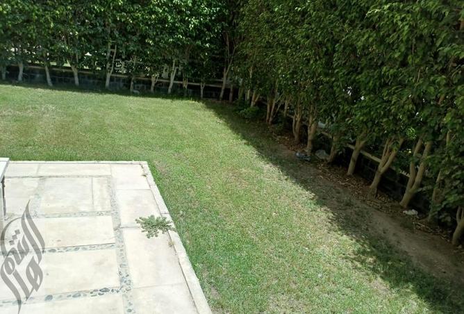 8300040 - صورة العقار 2