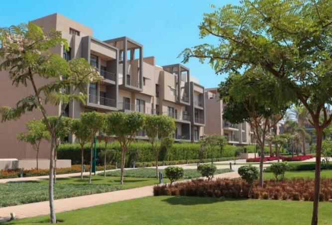 8428959 - Property Image 3