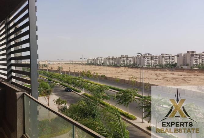 8056801 - Property Image 3