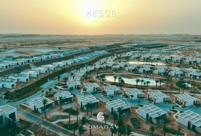 8005354 - صورة العقار 2