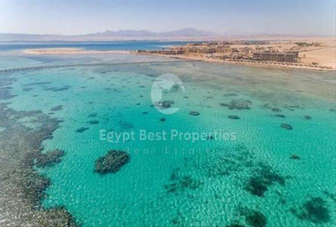 8012621 - صورة العقار 3