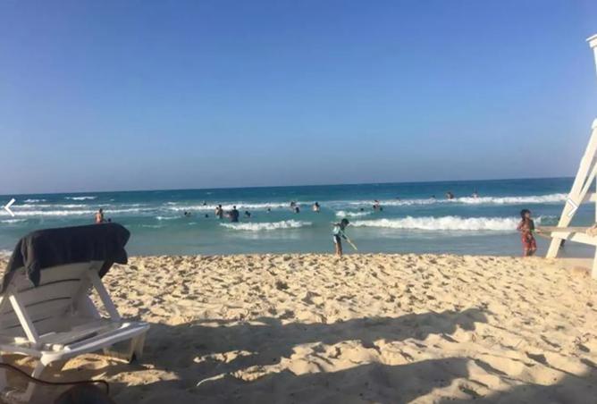 8414758 - Property Image 3