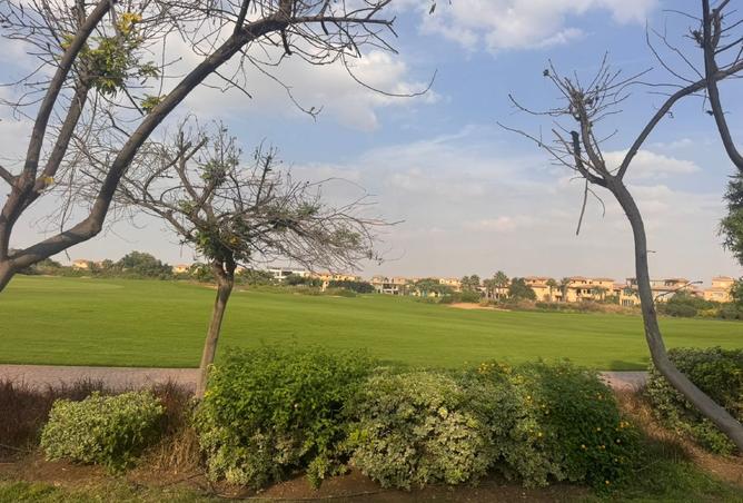 8361191 - Property Image 3