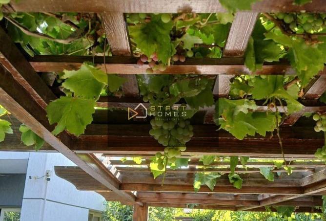 8360920 - Property Image 2