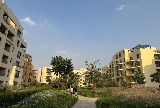 7936206 - Property Image 3