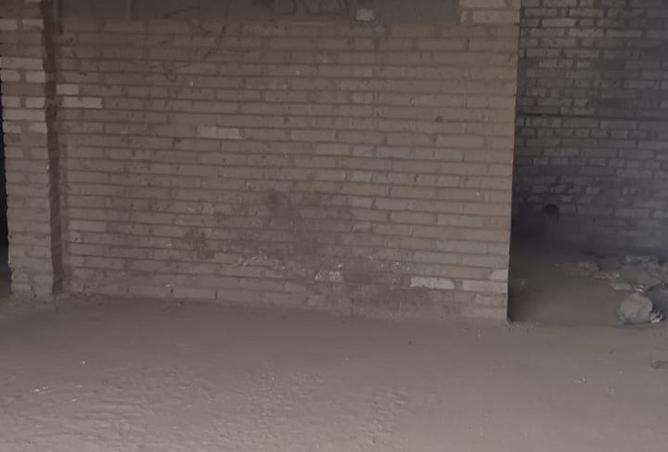 8339137 - Property Image 3