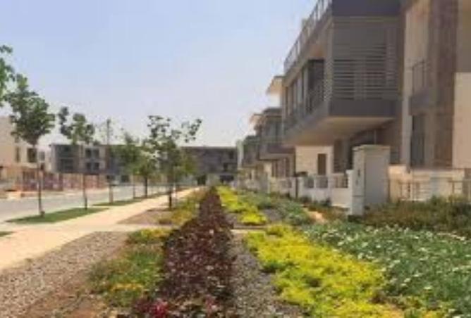 8438028 - Property Image 3