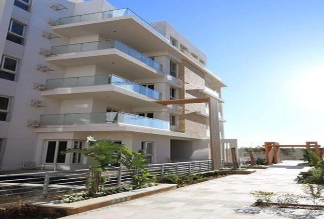 8336885 - Property Image 2