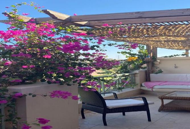 8202030 - صورة العقار 2