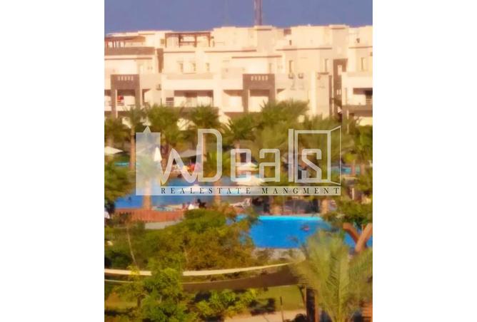 7967183 - الصورة الرئيسية للعقار