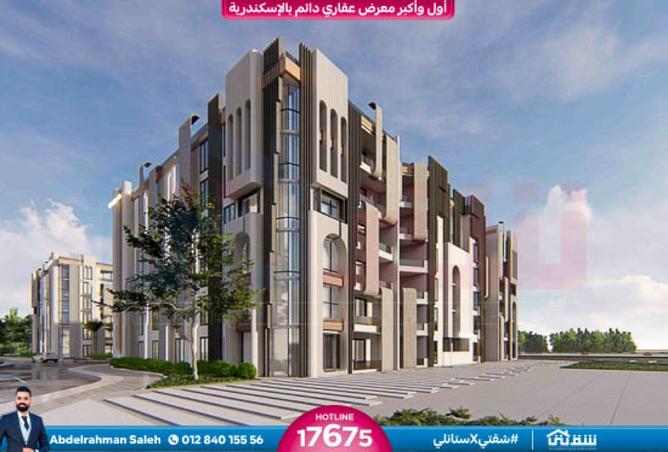 8386764 - Property Image 2