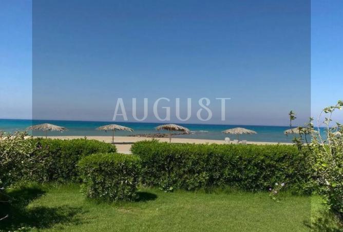 7686782 - Property Image 3