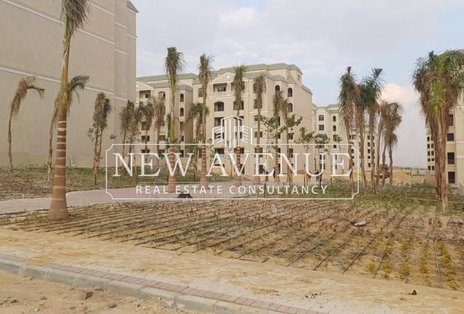 7927574 - Property Image 2