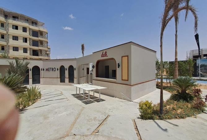 8390545 - Property Image 3