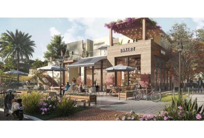 8080161 - صورة العقار 3