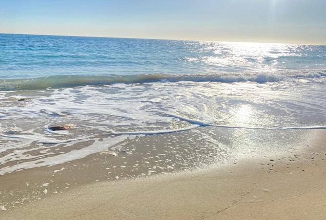 8319460 - Property Image 2