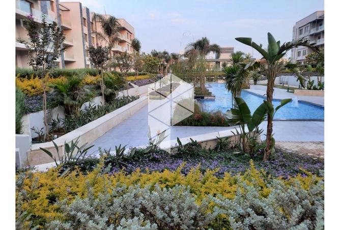 8411139 - Property Image 3