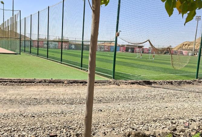 8513602 - صورة العقار 2