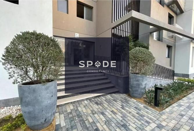 8176378 - Property Image 2