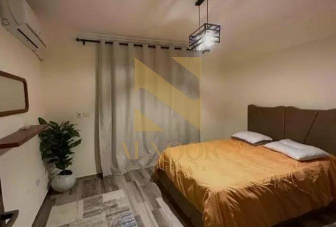 8242618 - Property Image 3