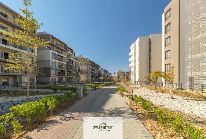 8529223 - Property Image 2