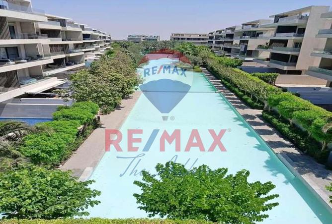 8233202 - صورة العقار 2