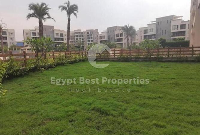 8056617 - صورة العقار 3